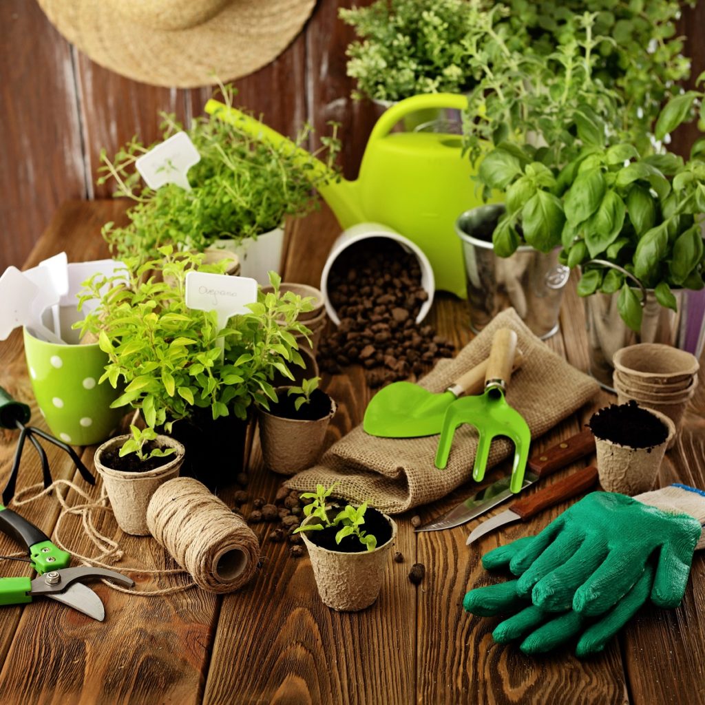 gardening tools and materials